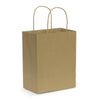 Paper Carry Bag  Medium [107586]