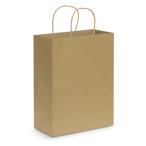Paper Carry Bag  Large [107590]