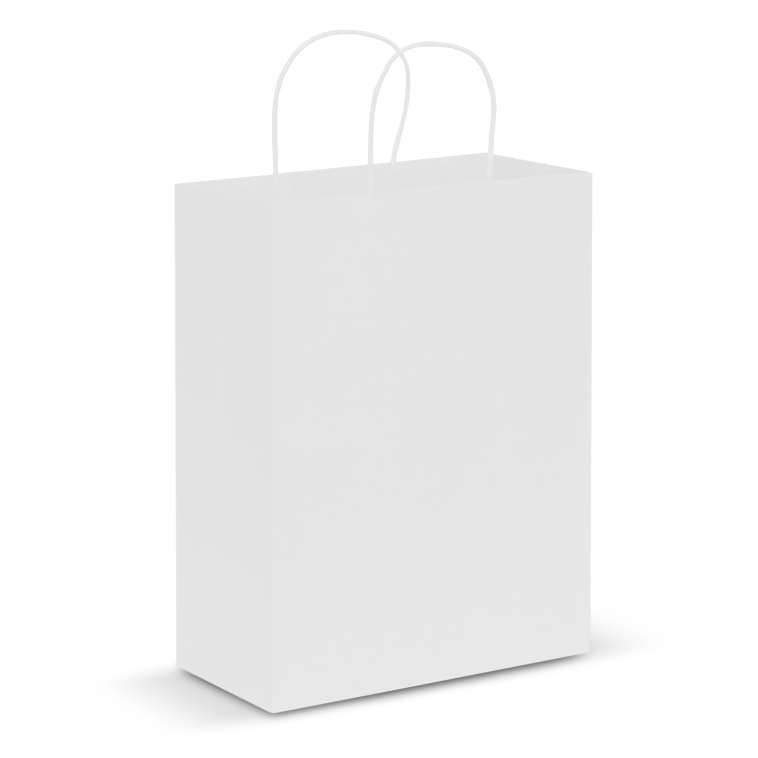 Paper Carry Bag  Large [107590]