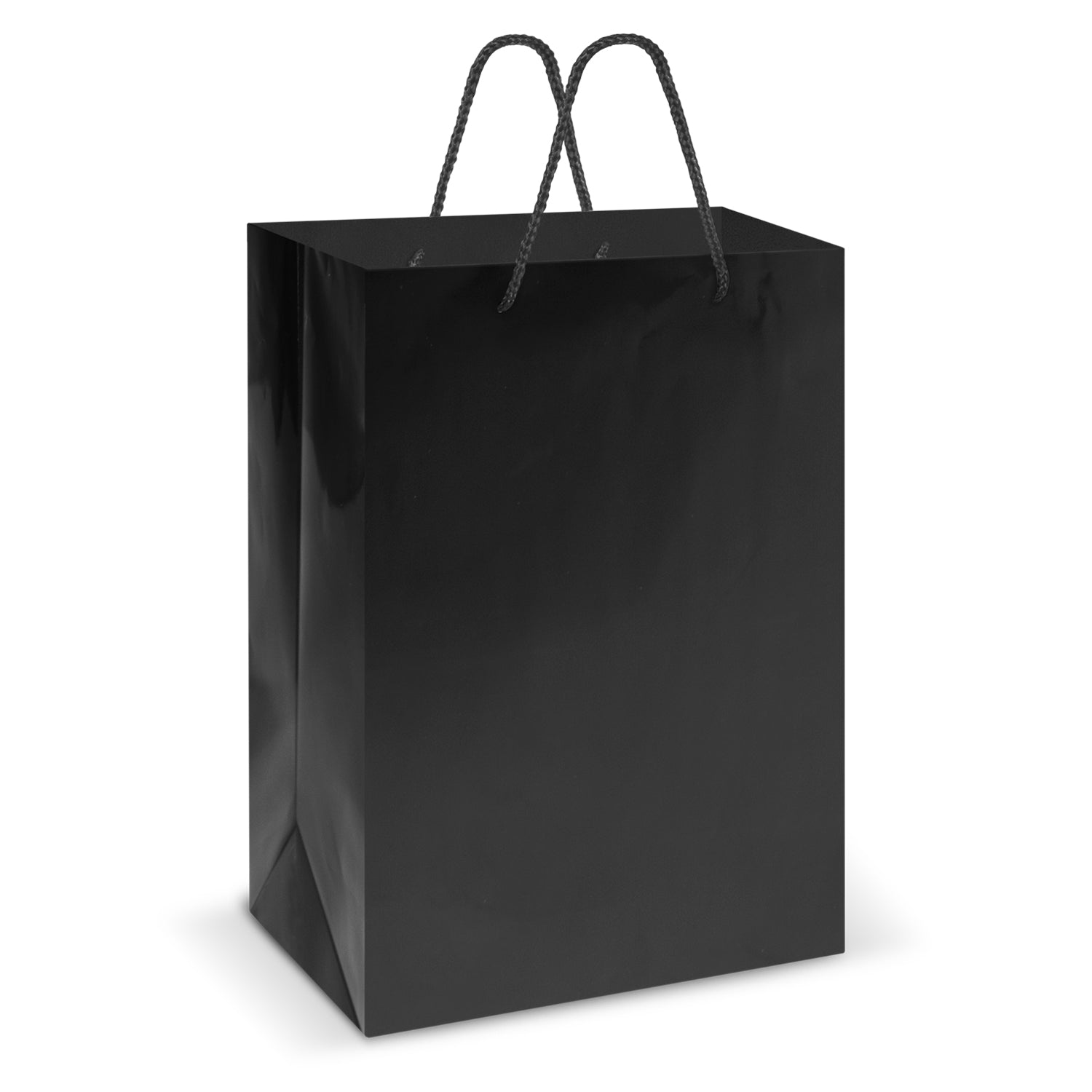 Laminated Carry Bag  Large [108513]