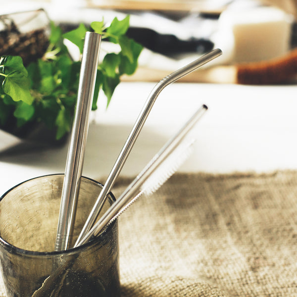 Stainless Steel Straw Set [116751]