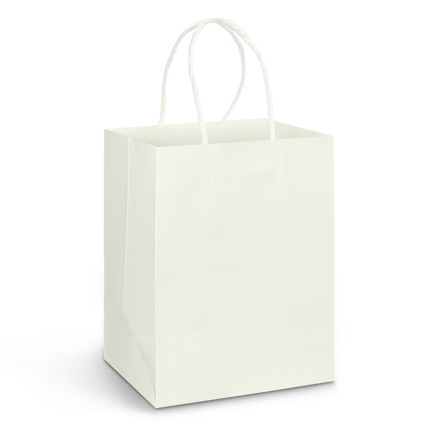 Large Paper Carry Bag  Full Colour [116937]